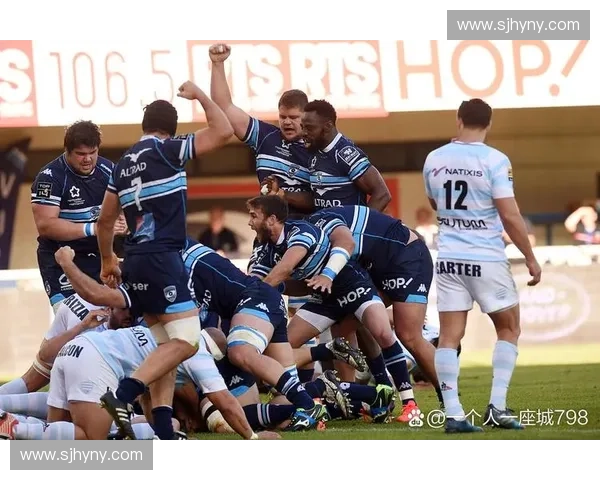 热刺球迷心声：从激情赛场到未来展望，见证球队逐步崛起的历程