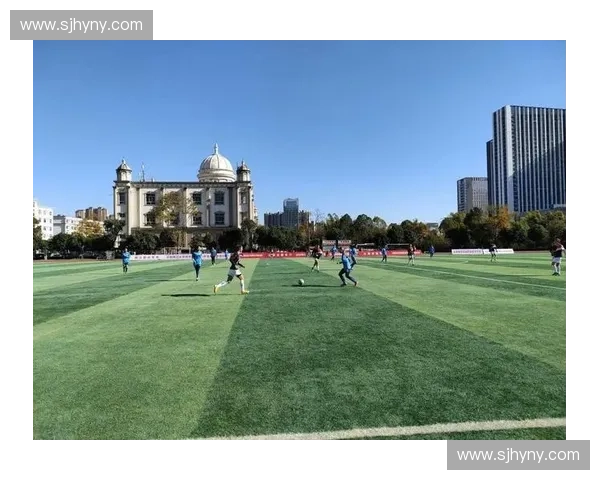 打造高效协同管理体系全面提升足球联赛组委会组织运营水平